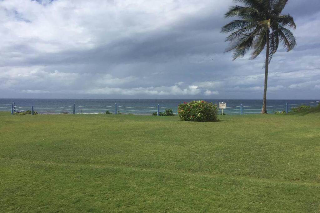 Contemporary Ocean View 2bed Carib Apartment *